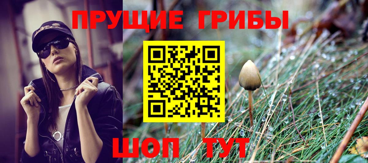 Галлюциногенные грибы прущие грибы Чапаевск